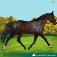 Horse Color:Brown Ice