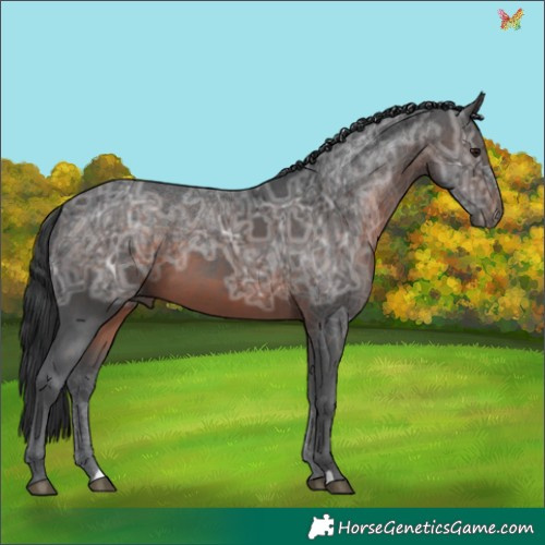 Horse Color:Brown Ice 