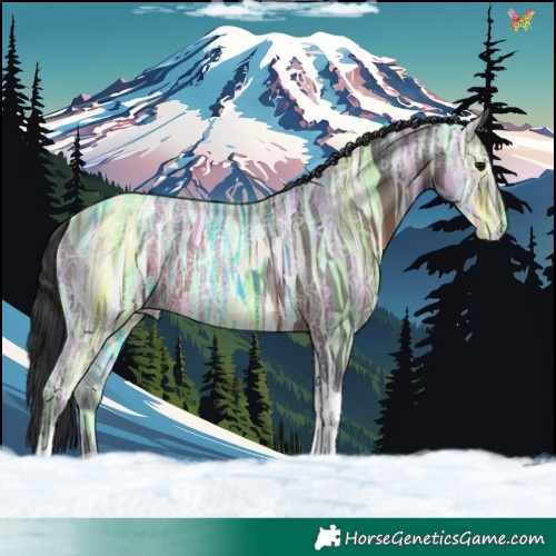 Horse Color:Brown Ice Tobiano 