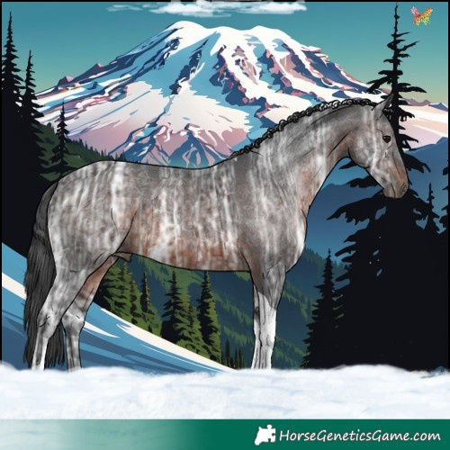 Horse Color:Brown Ice Tobiano 