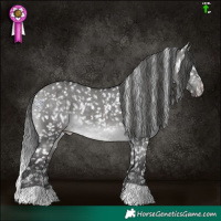 Horse Color:Platinum Buckskin Dun Snowflake Varnish 