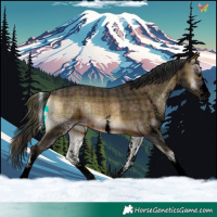 Horse Color:Void Plaid  White Spotted Brown Onyx 