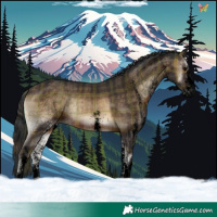 Horse Color:Void Plaid  White Spotted Brown Onyx 