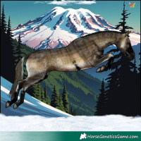 Horse Color:Void Plaid White Spotted Brown Onyx