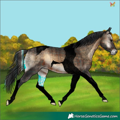Horse Color:Void Plaid  Brown Onyx Tobiano 