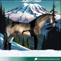 Horse Color:Void Plaid Brown Onyx Tobiano
