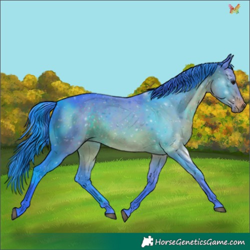 Horse Color:Watercolor White Spotted Brown