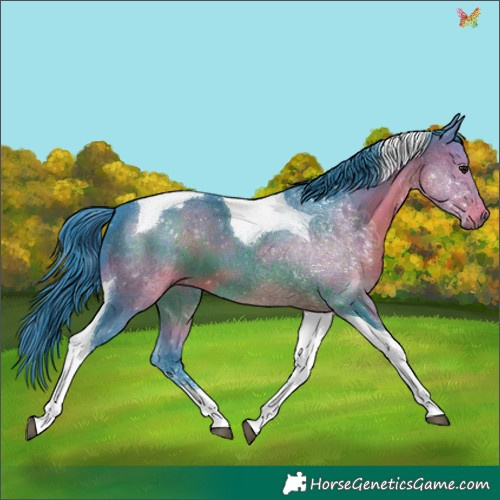 Horse Color:Watercolor Brown Tobiano 