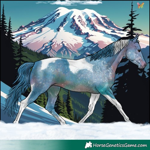 Horse Color:Watercolor Brown Tobiano 