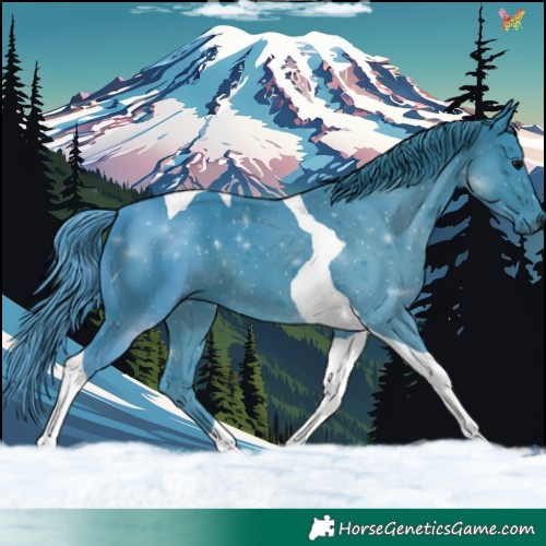 Horse Color:Watercolor Black Tobiano 