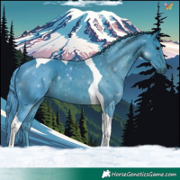 Horse Color:Watercolor Black Tobiano