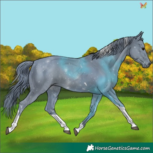 Horse Color:Watercolor Black Tobiano 