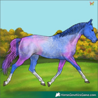 Horse Color:Watercolor White Spotted Black 
