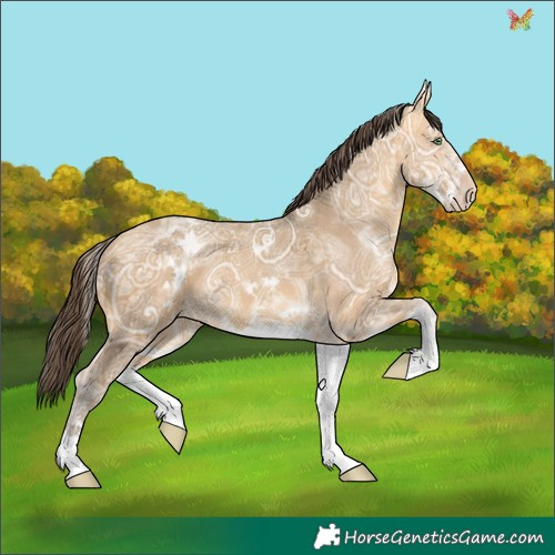 Horse Color:White Spotted Sable Cream Champagne Ice 