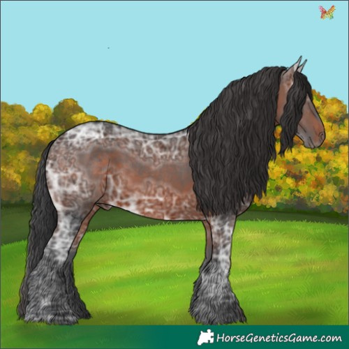 Horse Color:Brown Ice 