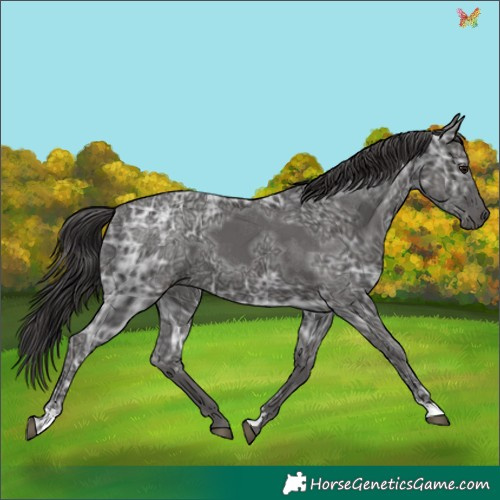 Horse Color:Smoky Black Ice