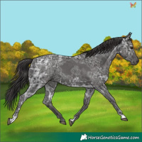 Horse Color:Smoky Black Ice 