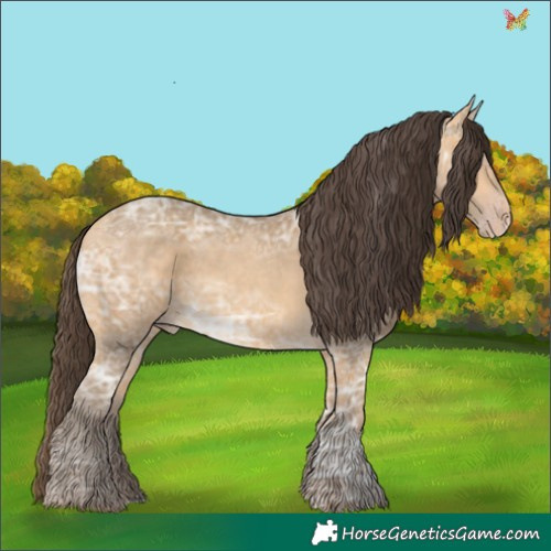 Horse Color:Sable Cream Champagne Ice 