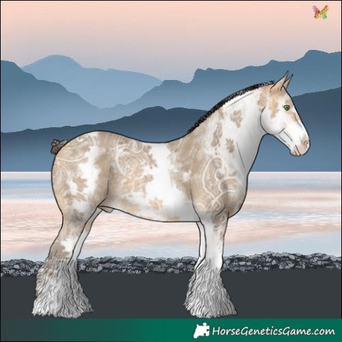 Horse Color:White Spotted Sable Cream Champagne Ice 