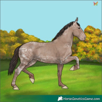Horse Color:Classic Champagne Ice 