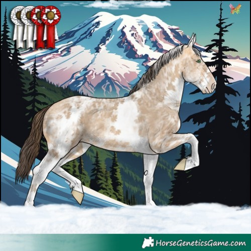 Horse Color:White Spotted Sable Cream Champagne Ice 