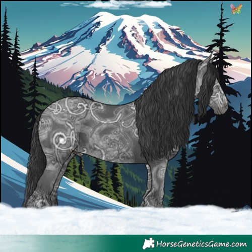 Horse Color:Black Ice 