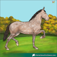 Horse Color:Sable Champagne Ice 
