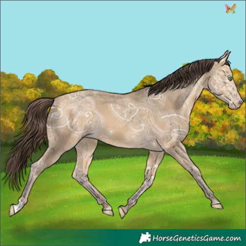 Horse Color:Sable Cream Champagne Ice