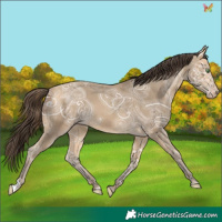 Horse Color:Sable Cream Champagne Ice 