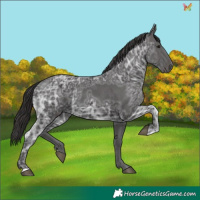 Horse Color:Smoky Black Ice 