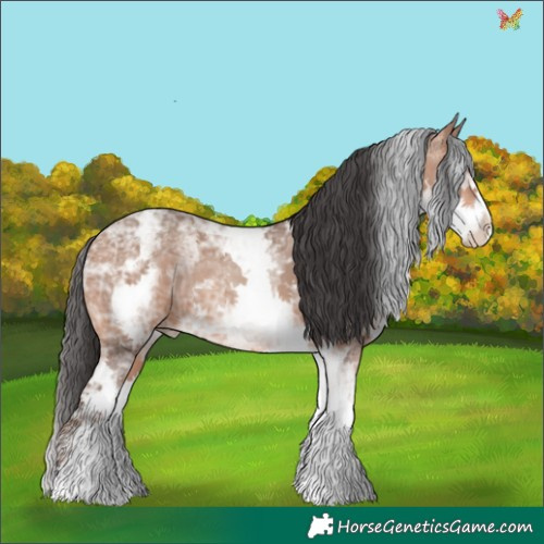 Horse Color:White Spotted Sable Champagne Ice 