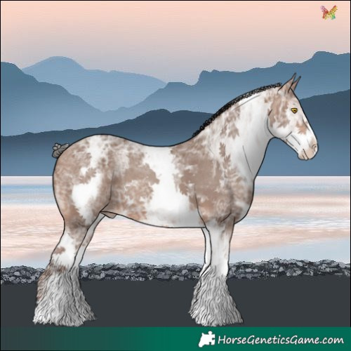 Horse Color:White Spotted Sable Champagne Ice 