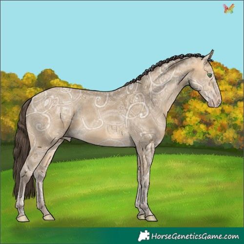 Horse Color:Sable Cream Champagne Ice 