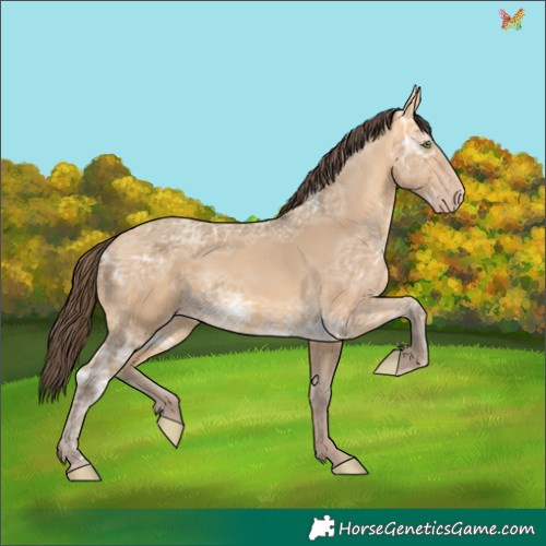 Horse Color:Amber Cream Champagne Ice