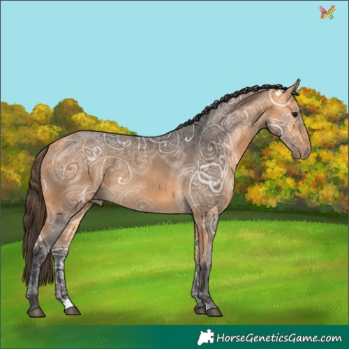 Horse Color:Buckskin Ice 