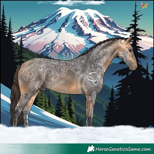 Horse Color:Buckskin Ice 