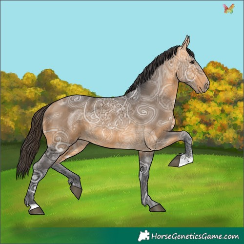 Horse Color:Buckskin Ice 
