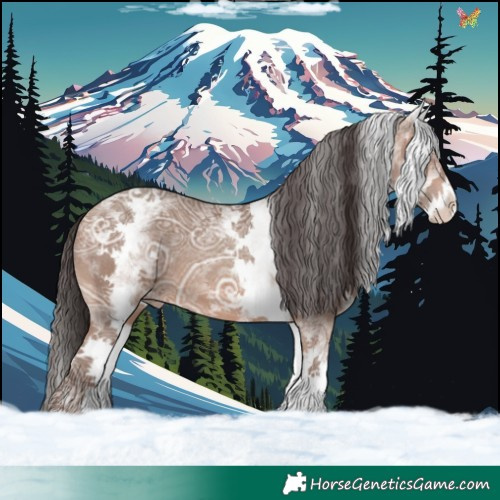 Horse Color:White Spotted Sable Champagne Ice 