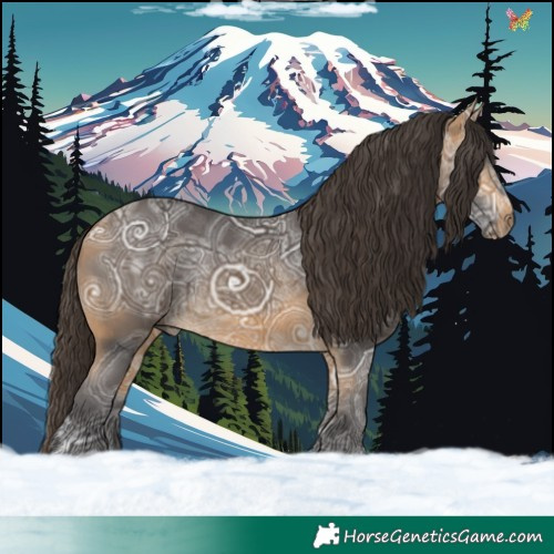 Horse Color:Buckskin Ice 