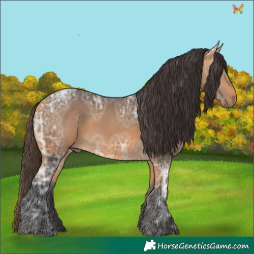 Horse Color:Buckskin Ice 
