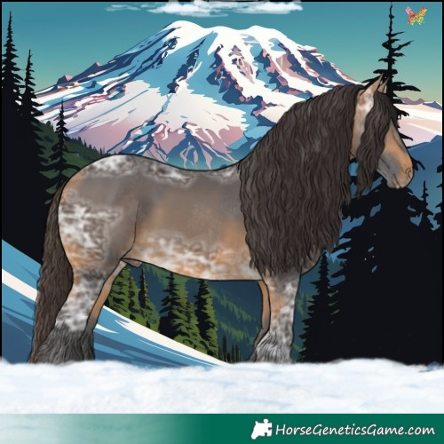 Horse Color:Buckskin Ice 
