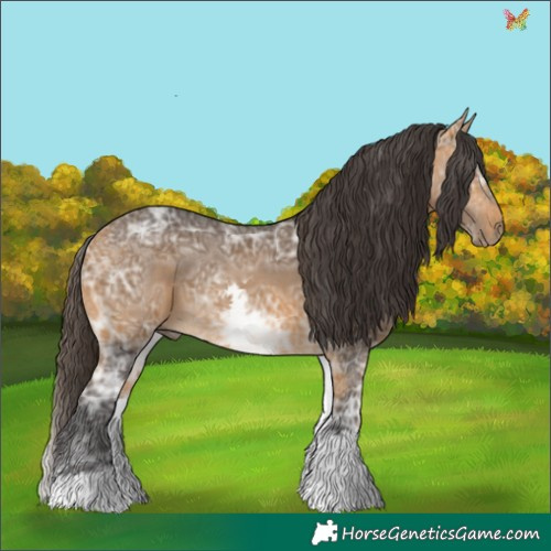 Horse Color:White Spotted Buckskin Ice 