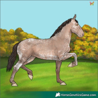 Horse Color:Sable Champagne Ice 