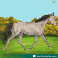 Horse Color:Classic Cream Champagne Ice 