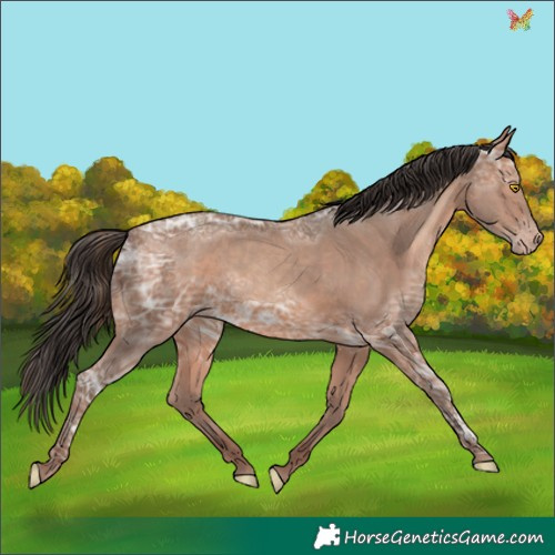 Horse Color:Sable Champagne Ice 