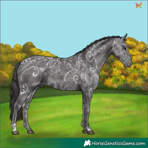Horse Color:Smoky Black Ice 