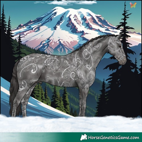 Horse Color:Smoky Black Ice 