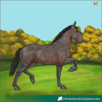 Horse Color:Brown Ice 