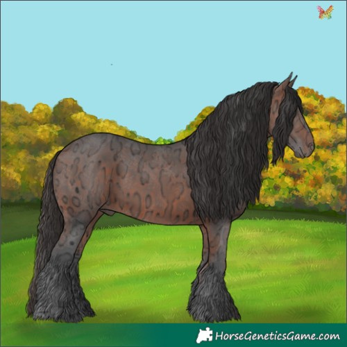 Horse Color:Bay Ice Rabicano 
