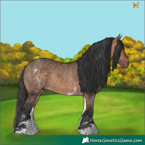 Horse Color:White Spotted Brown Dun 